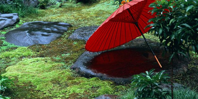 国内旅行を楽しくしよう